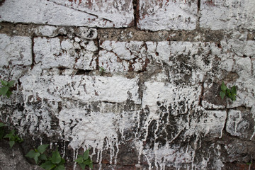 Medium close up of old brick wall at a former prison in Asia; wall has been hastily covered with whitewash paint