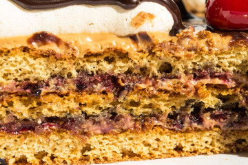 Layered tasty cake, closeup