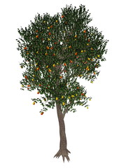 Fototapeta na wymiar Pear tree - 3D render