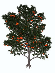 Fototapeta na wymiar Pomegranate tree - 3D render