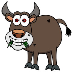 bull eating grass