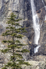 Obraz premium Waterfall on the mountain