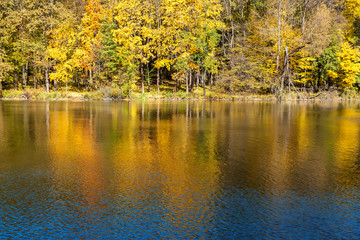 Fototapeta premium Autumn colors on a forest near a lake