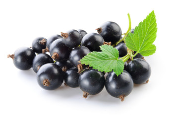 Black currant isolated on white.