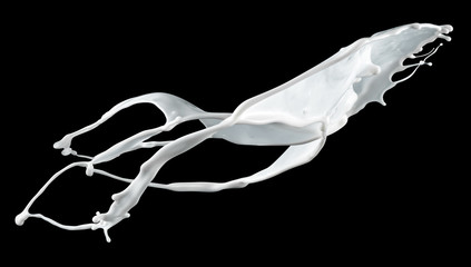 Fototapeta premium Milk splash isolated on black. With clipping path.