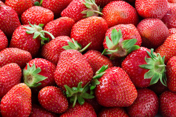 Fresh strawberry. Red background.