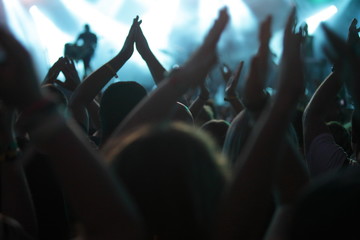 clapping crowd at the concert, rear view