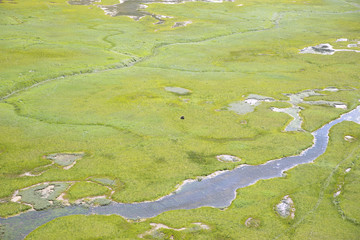 Aerial view of alaskan wilderness from a small airplane