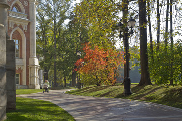 Яркие осенние листья на кустах и деревьях в солнечный день. Парк Царицыно (Москва). © platosha49
