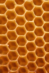 Empty honeycomb