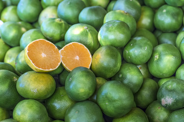 Mandalina