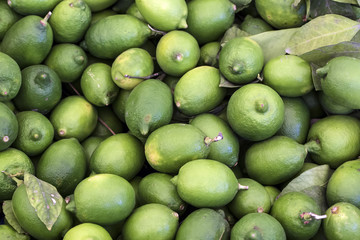 Limon