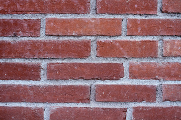 Obraz premium texture