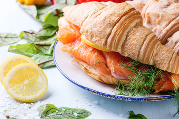 Sandwich with salted salmon