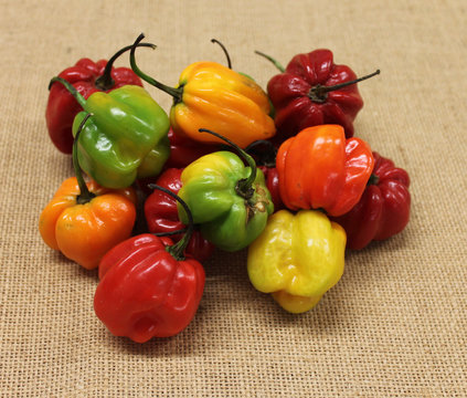 piments