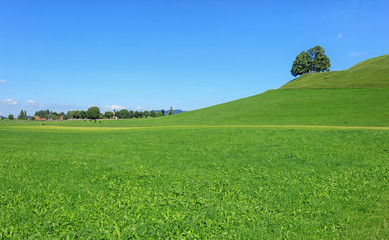 View in Einsiedeln