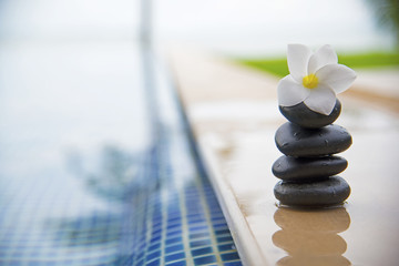 Tranquility scene of peaceful life