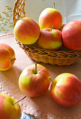Green and red organic apples in basket