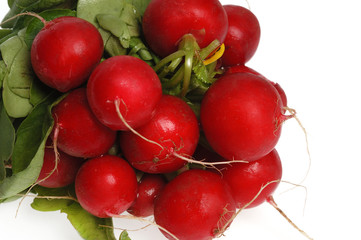 close-up  Bunch of radishes White background