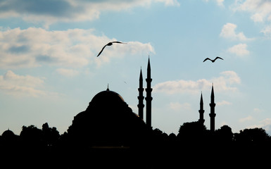 Suleymaniye Mosque (Süleymaniye Cami)