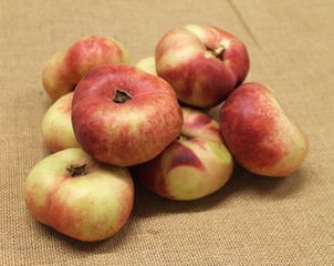 nectarine plate
