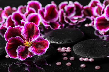 beautiful composition of geranium flower, beads and black zen st