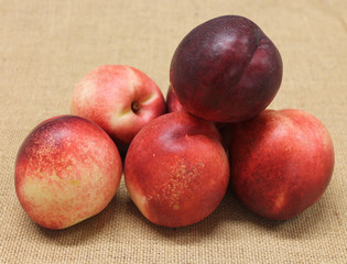 nectarine