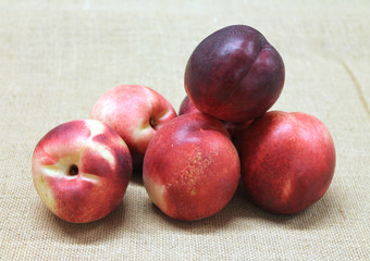 nectarine