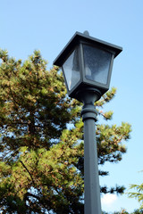 streetlight