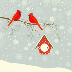 Cute red cardinal bird with birdhouse on branch in winter - 91131979