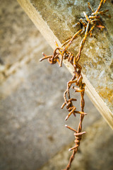 barbed on a pole facing the tilt..