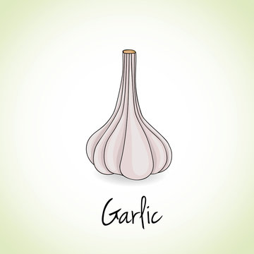 Garlic Herbs and Spices.