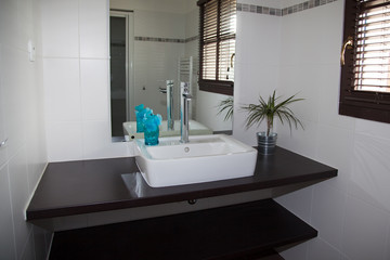 View of a spacious and elegant bathroom