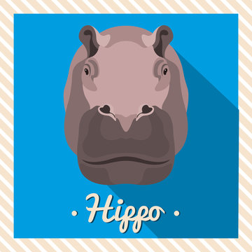Vector portrait of a hippopotamus, hippo. Symmetrical portraits of animals. Vector Illustration, greeting card, poster. Icon. Animal face. Font inscription. Image of a hippopotamus's face.