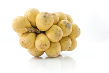 Wollongong on white background