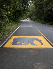 Fototapeta premium Elephant warning sign painted on the road surface in National Park of Thailand