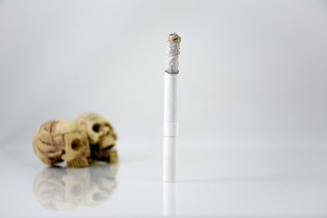 Smoking can kill you. Still Life with a Skull concept, white bac