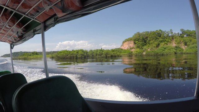 Travel in Rio Negro, Manaus, Brazil