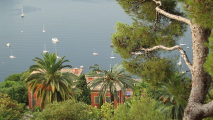 wille i palmy - Lazurowe Wybrzeże w okolicy Nicei