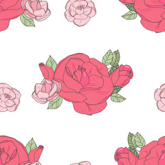 Pink rose on the white background.