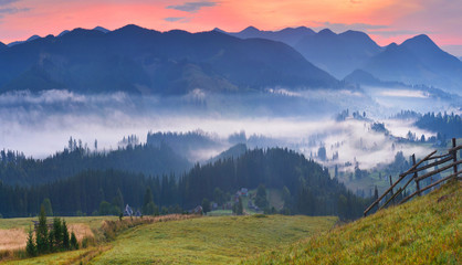 Fototapeta na wymiar Misty dawn in autumn countryside