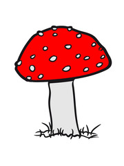 Red mushroom fungus poisonous grass forest points to fly