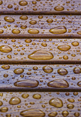 Water drops, raindrops pattern on wood texture. Shallow depth of field.