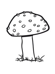 Red mushroom fungus poisonous grass forest points to fly