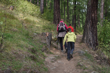 Obraz premium escursione in montagna camminare nordic walking 