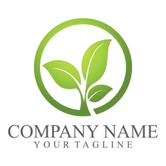 Leaf Logo. Natural product logo design vector template. Leaf icon	