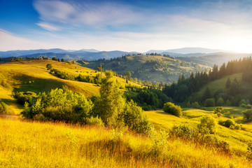 Summer landscape in mountains