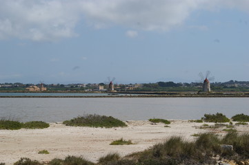 Fototapeta premium saline