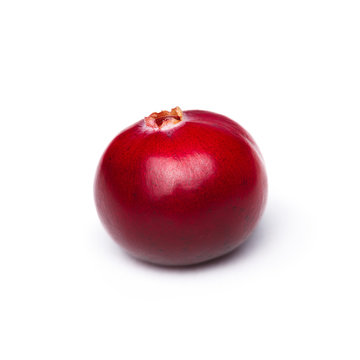 Single Cranberry