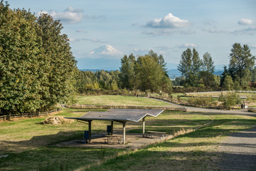 Mount Rainier From Grandview 5